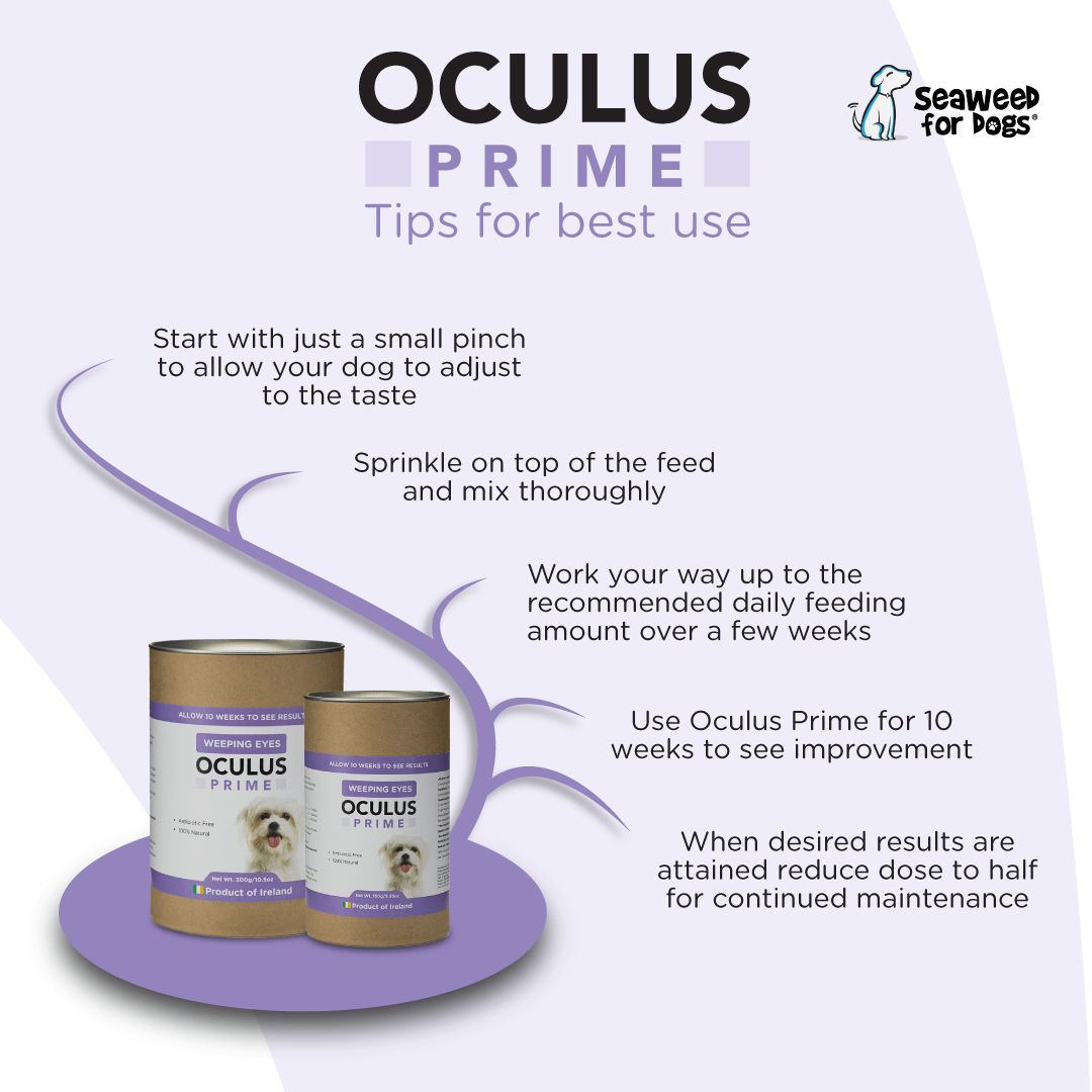 Oculus Prime | Natural Tear Stain Remover For Dogs